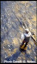 An overhead view as an angler fly fishes from the shallows of river.